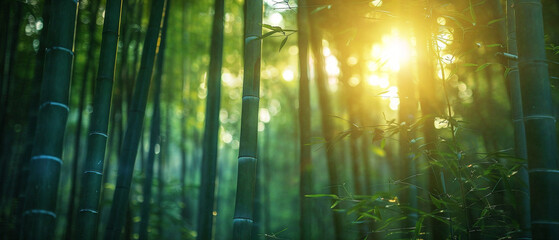 Bamboo forest bathed in sunlight, rays filtering through dense foliage, creating a serene atmosphere.
