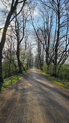 Obraz premium A dirt road surrounded by trees on a sunny day in a natural landscape Maschsee Hanover