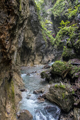 the passage of a wild animal through a gorge in the Austrian Alps