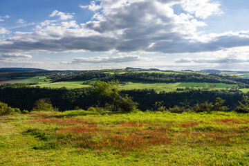 Naturschutzgebiet Hardungsberg, Dörscheid, April 2024