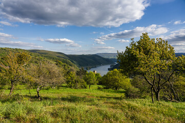 Naturschutzgebiet Hardungsberg, Dörscheid, April 2024