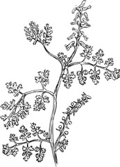 Hand drawn small flowers, leaves and branches.