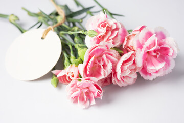 Pink carnation flowers with paper tag on white background