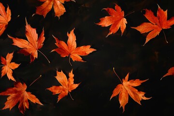 Vibrant orange maple leaves against a stark black background, capturing the essence of autumn.