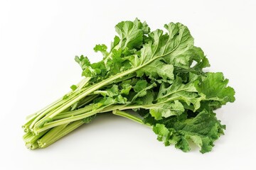 Asian greens vegetable produce herbs.