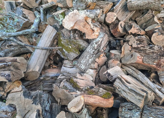 large quantities of small pieces of wood piled up
