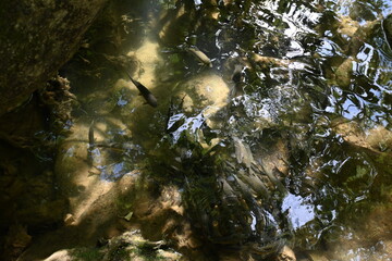 Kurşunlu Waterfall in Antalya - Kurşunlu Şelalesi