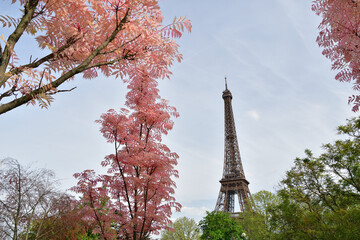 Paris, France. Red-leafed trees and the Eiffel Tower at Place Trocadero. April 14, 2024.