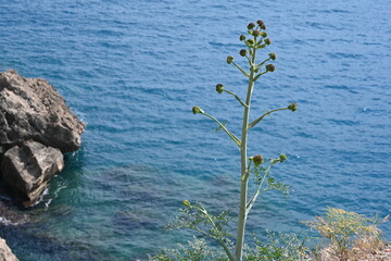 Antalya Karaalioğlu Parkı - Parks - Sea views