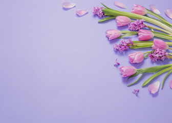 spring flowers on purple paper background - 795125758