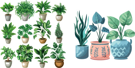 Decorative houseplants in pots vector illustration
