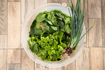organic lettuce and spinach in bowl
