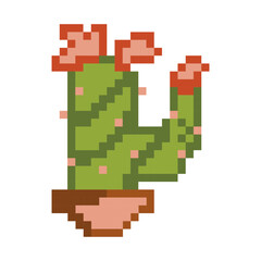 Green cactus with flowers in a pot pixel-art. home plant. Game development, mobile application development. Isolated vector illustration.