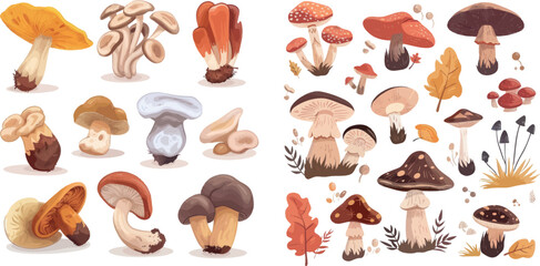Forest ceps. Cartoon oyster mushrooms, autumn harvesting mushroom, wild amanita, tasty shiitake boletus - obrazy, fototapety, plakaty