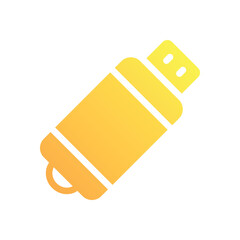 Usb Flash vector icon