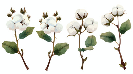 Set of Four raw cotton branches leaves bolls and flowers - obrazy, fototapety, plakaty