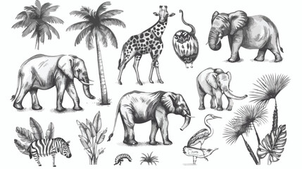 Set with tropical animals. Creative nursery pencil 