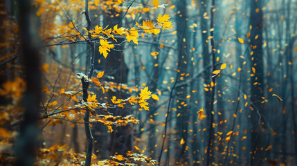 Trees with yellow leaves in autumn forest. 