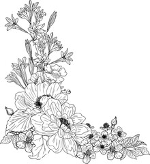 Hand drawn peony, cherry blossom, wildflowers, leaves and branches.	