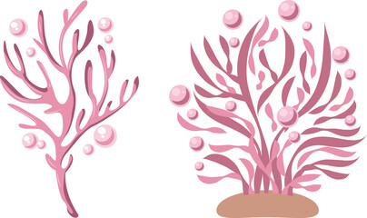 cute pink seaweed illustrations for decoration