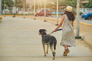 A young girl is walking her dog on a sidewalk. Summer time