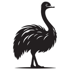 Vector Illustration of Ostrich Silhouette