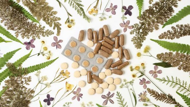 Herbal medicine concept. Herbal pills with healthy medical plant rotating. Natural pharmaceutical capsule. Vitamin natural supplement, medication, treatment, homeopathy organic super food supplements 