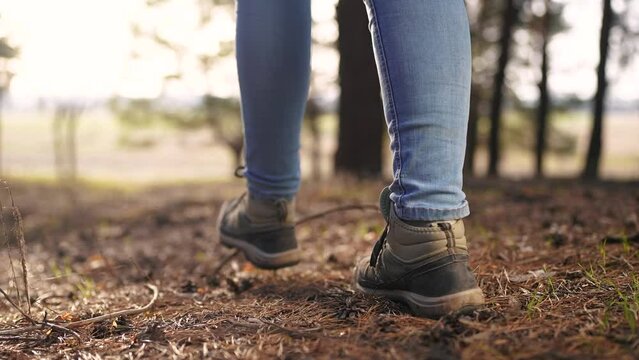 hiker free girl feet walk in the park forest. travel concept. close-up of a leg free girl walking in the park in the forest. woman walk journey concept. hiker sneakers walking close-up lifestyle park
