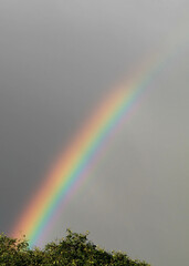 rainbow after the storm