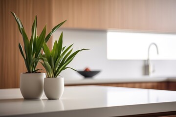 A minimalistic kitchen with a pristine white counter top and a single decorative plant Generative AI