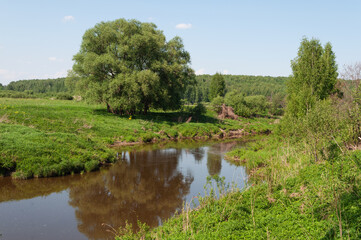 Country landscape, small river, some trees on river bank, blue sky, spring time