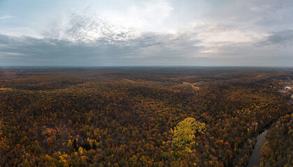 Autumn golden trees forest on hills aerial panorama scenery with sunshine on grey sky