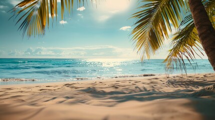 Fototapeta na wymiar sunset on the beach.sunset landscape,beach view with coconut trees,