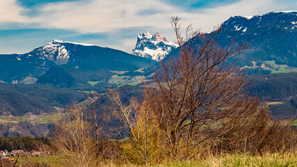 Alpine spring view with the Geislerspitzen mountains, dolomites, in the background near Klobenstein, Ritten, Eisacktal valley, South Tyrol, Italy