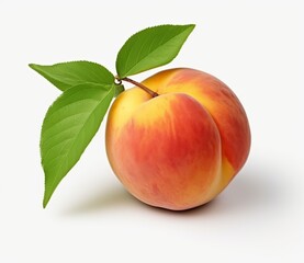 A peach is a round fruit with a pointed tip and a fuzzy skin that is yellow, orange, or red in color. The flesh of the peach is white or yellow and is juicy and sweet. There is a brown pit in the cent