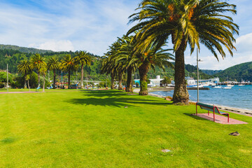 Obraz premium Grass area on harbour with tropical palm trees 