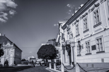 City Hall in Szekesfehervar,Hungary.Summer season.
