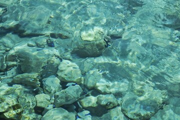 Stones are visible through the transparent azure water of the sea. Sea background.