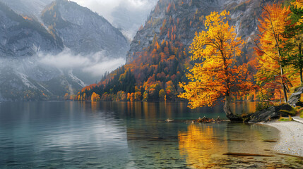 Yellow autumn trees on the shore of lake in Austrian  - obrazy, fototapety, plakaty