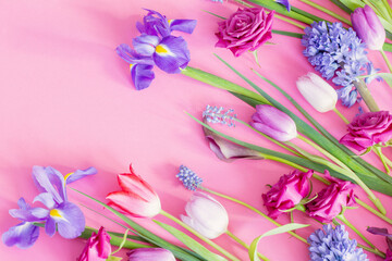 beautiful spring flowers on pink paper background - 795192189