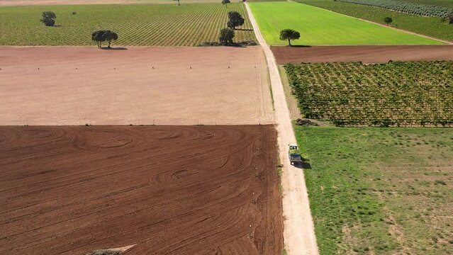 TRACTOR TRANSPORTANDO UVAS DE LA VENDIMIA