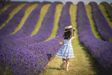 A little girl wearing a blue dress and white sandals walks along  a lavender field and takes her...
