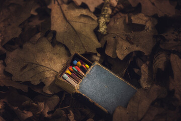 old matchbox with many colored matches on dry leaves in the forest