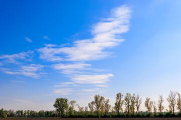Stratocumulus clouds in a blue sky