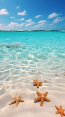 Fototapeta na wymiar Desert bottom with starfish in the Caribbean Sea underwater outdoors horizon.