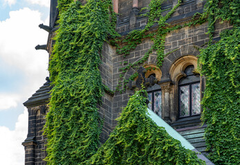 Martin Luther Church in Dresden, ivy-covered