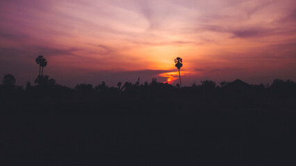 Sunset silhouette for palm tree 