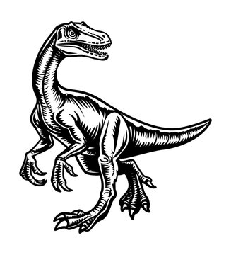 recommend clip art: velociraptor engraving black and white outline