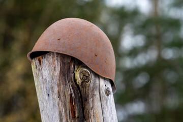 a rusty helmet on a tree trunk