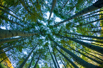 rocky mountain scenery and landscapes